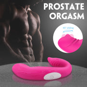 Prostate Massager - Lourdes